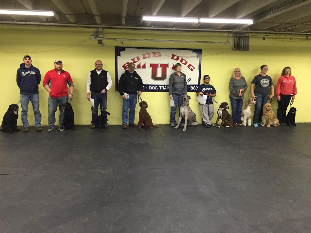 Rude Dog University Dog Training Eau Claire WI