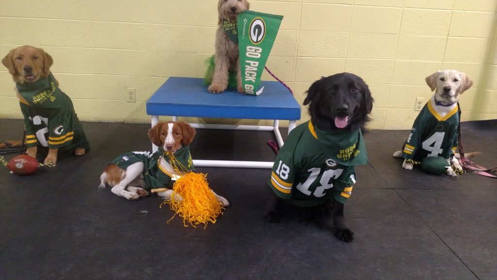 Intermediate Class Rude Dog University